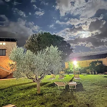 Ξενοδοχείο Assisium Ασίζη